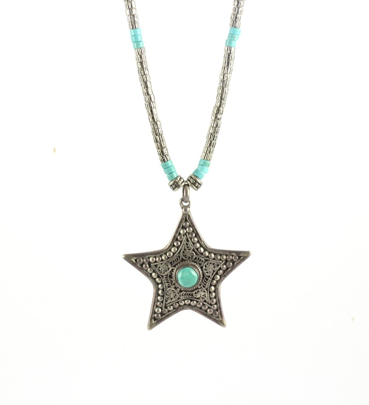 IMG_2923 STAR half lenght